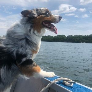 Meet your Posher, Sienna